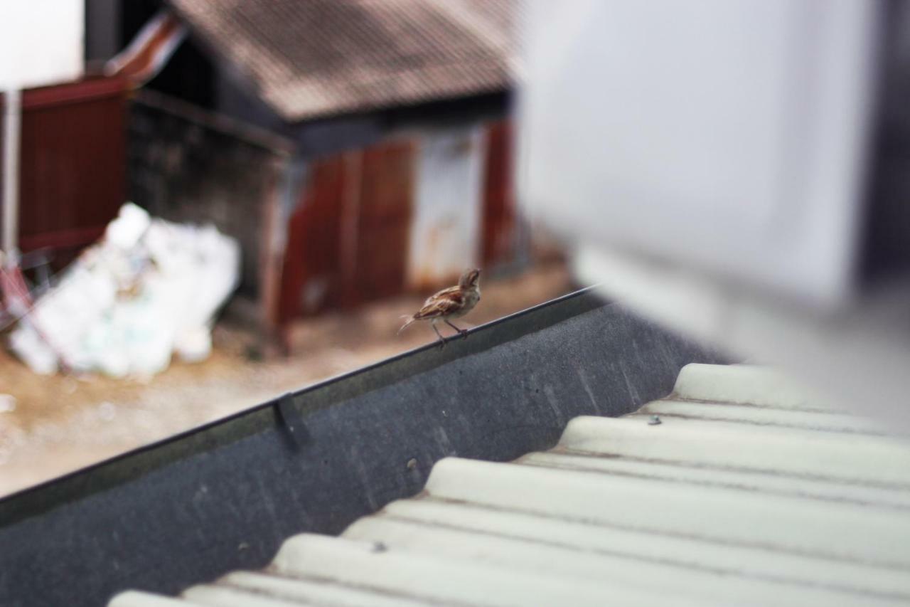 מלון צ'יאנג מאי 3 Laan House מראה חיצוני תמונה